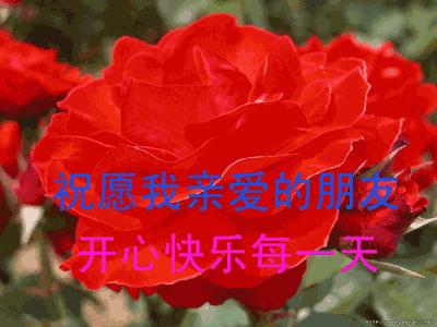 早上好祝你好运连连发财图片,早上好祝福你生意兴隆