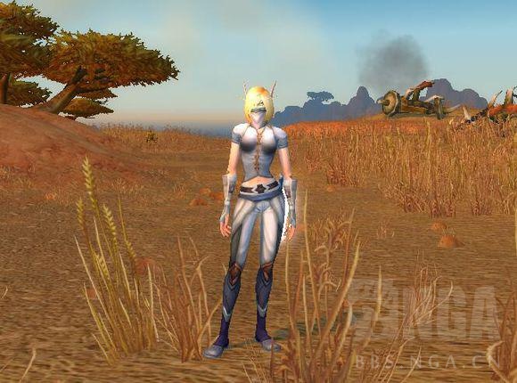 魔兽世界任务及奖励查询,魔兽世界怎么幻化自己没有的装备