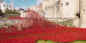 在英国偶遇网红,一位去了英国的网红