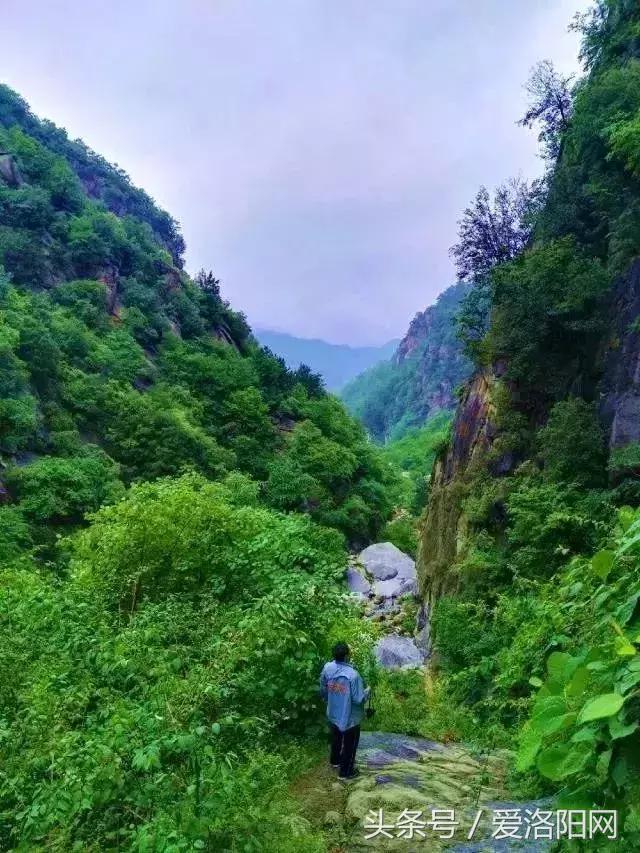 嵩县这条鲜为人知的绝美路线，隐秘在山林间，高速免费不容错过！