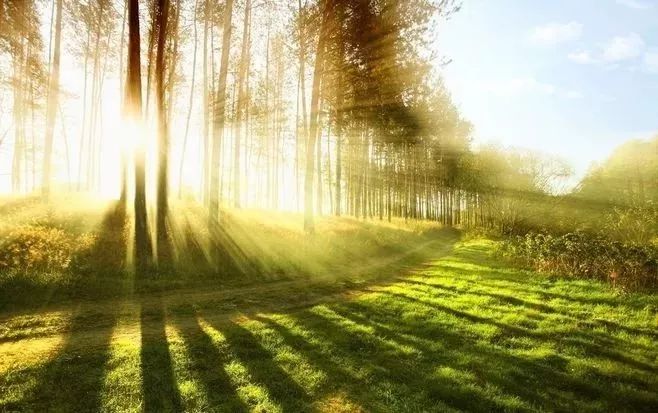 青年是党的事业的先锋力量,青年是国家振兴的希望和灵魂