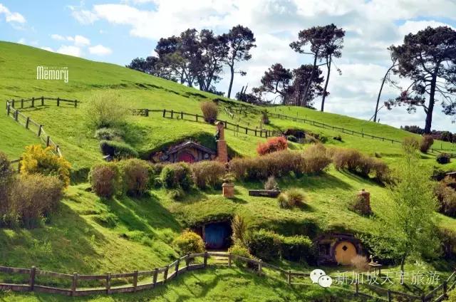 新西兰纯净之旅,10天时间旅游攻略
