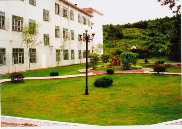 初中大洗牌,南京初中最新排名一览表