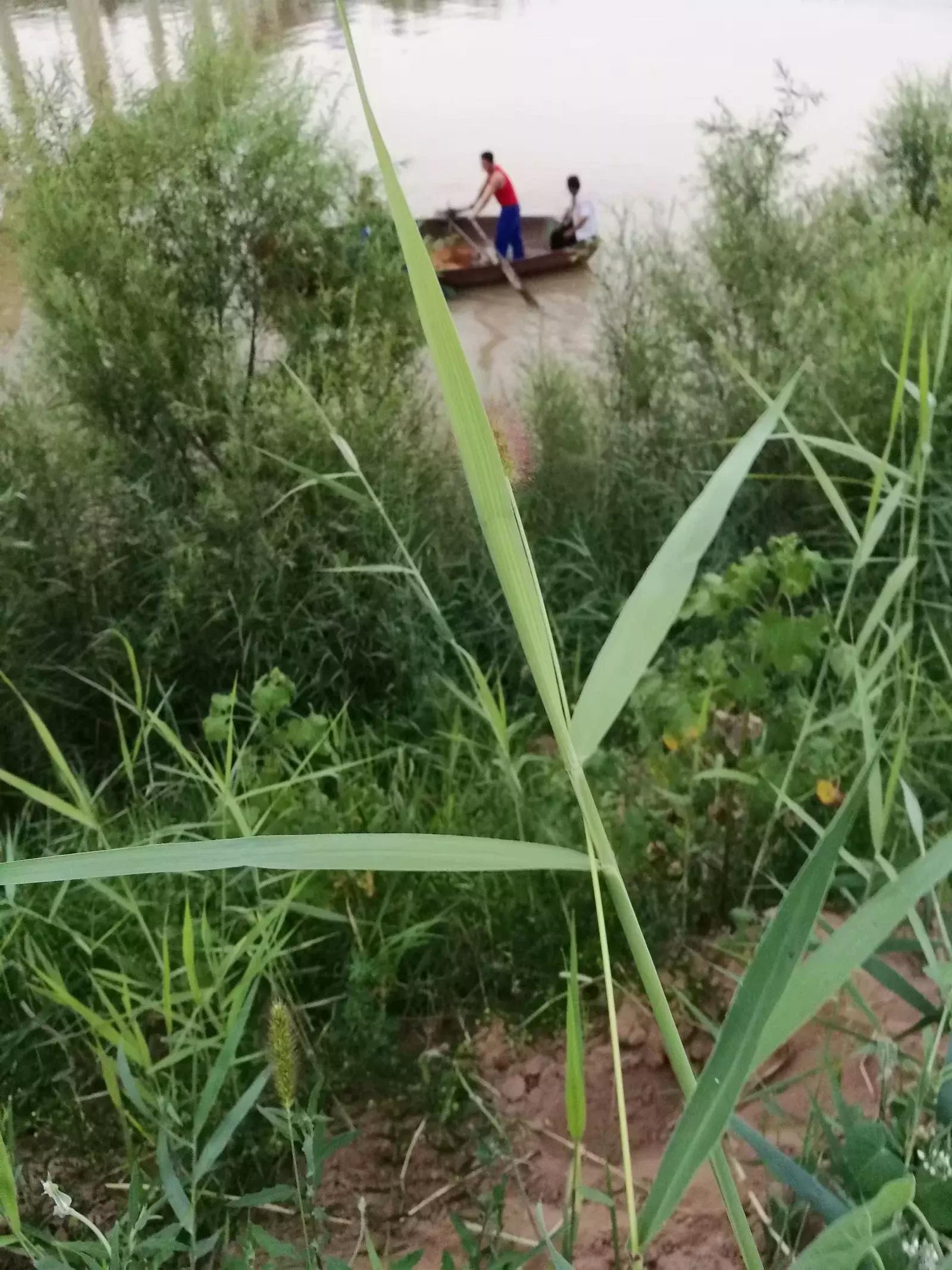 土地庙龙王庙开光仪式文字,城隍开光典礼