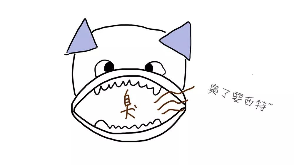 为什么给狗狗洗澡洗跳蚤,怎么解决狗狗身上的狗臭味