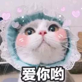 2018cosme大赏完整名单,2016年cosme大赏