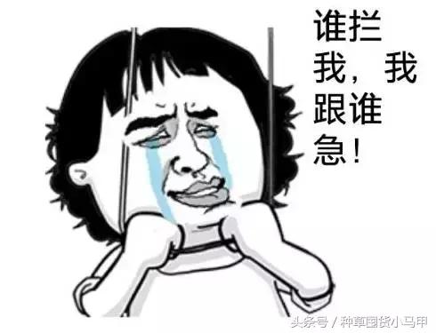 整形医生黑幕完整版,整形黑幕