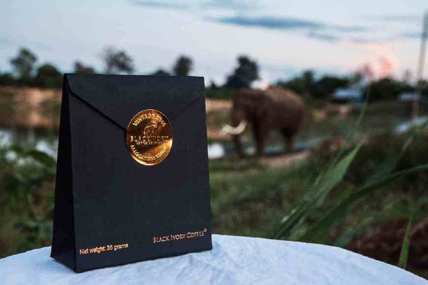 象屎咖啡价格昂贵,正宗的猫屎咖啡多少一杯