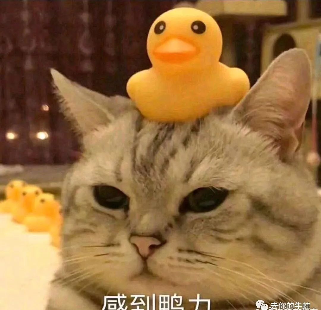 教育为什么会让我们焦虑,教育焦虑的原因和解决方法