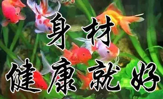 知足常乐每天都要保持开心的状态,知足常乐开心过好每一天