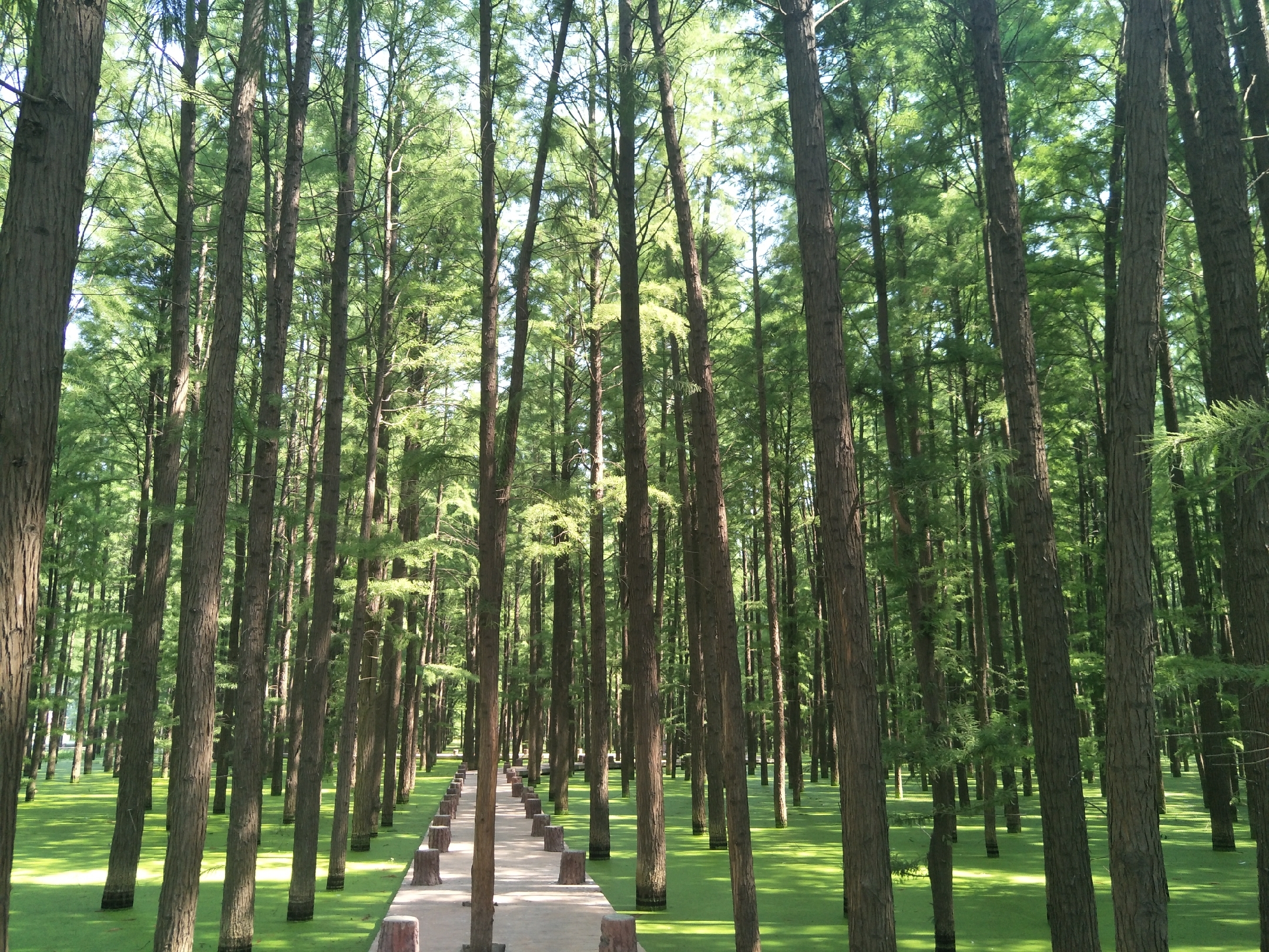 新蔡县物价,驻马店新蔡县物价