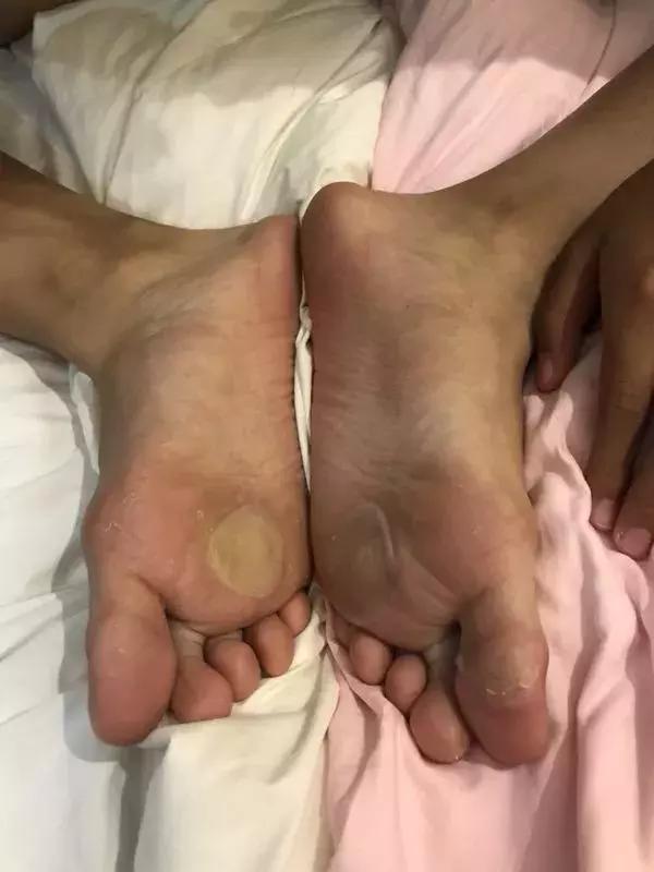 苏溪三小足球队,浙江省希望杯校园足球