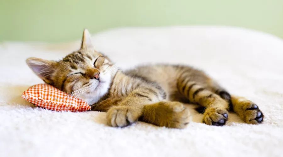 20个错误的生活小常识,生活中的十大误区视频