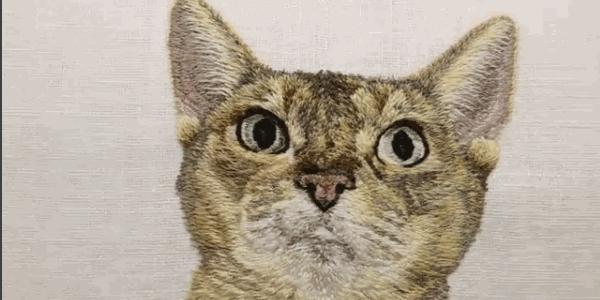 她给儿子绣的藏在口袋里的小动物,后来渐渐变成了事业