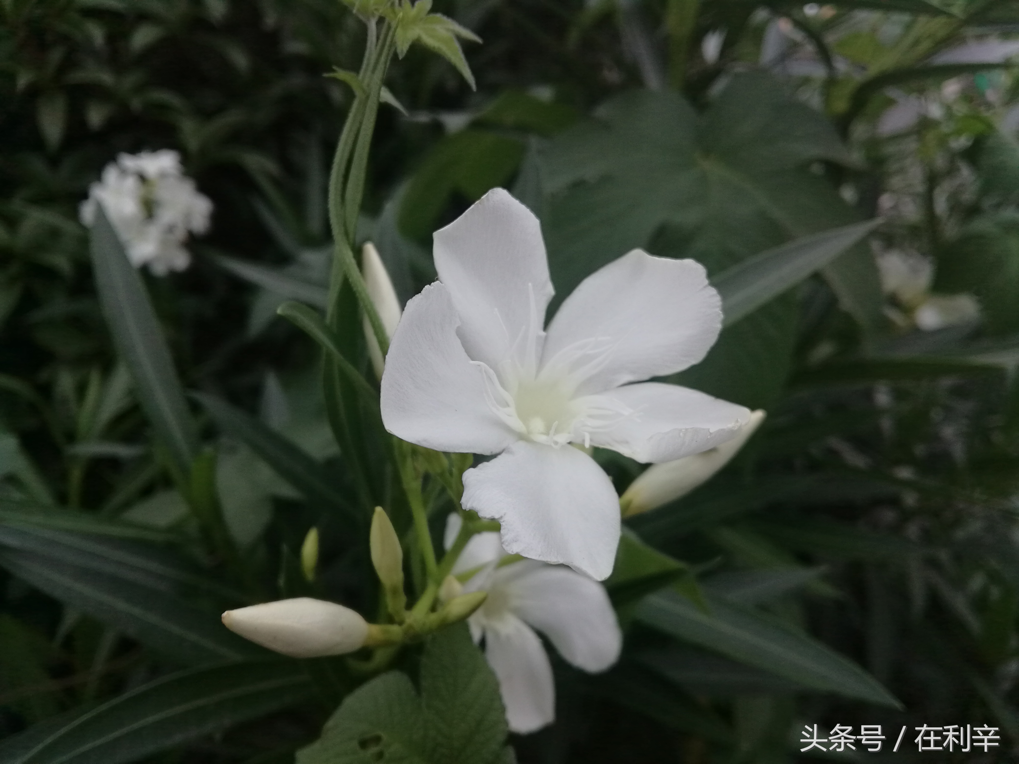 利辛日常生活,亳州利辛县日常生活