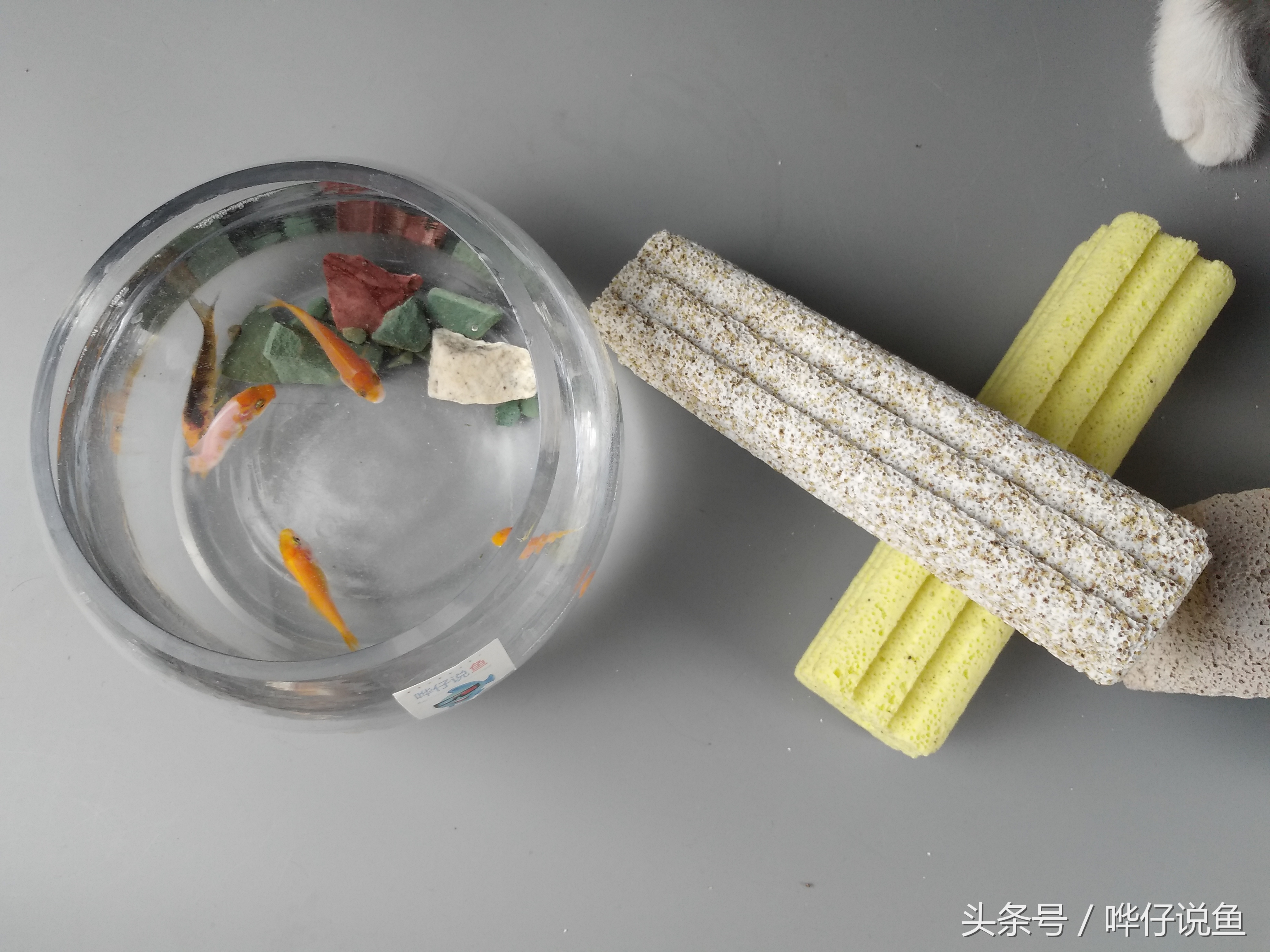 鱼缸细菌屋都需要什么,鱼缸细菌屋都有什么