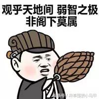 网红明星爆款推荐,明星推荐真的靠谱吗
