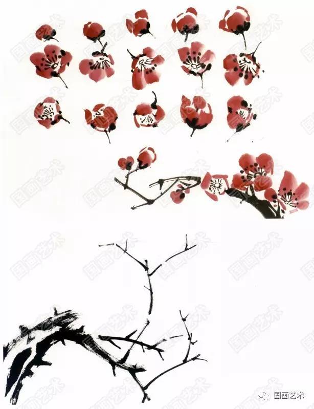转画教学,中国画零基础入门画梅花