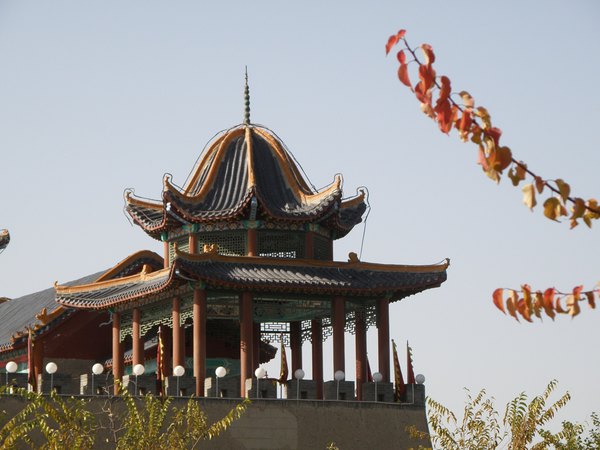 *疆新**（六）——梦牵大西北13