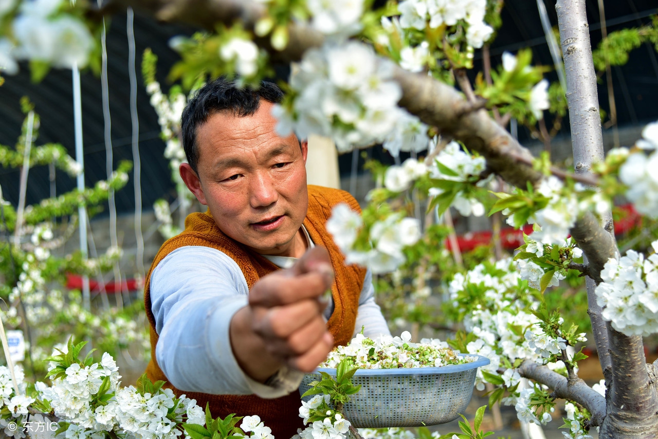 温室大棚120平方米建造价格一览表,温室大棚建造哪里最好