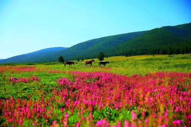 疆北自驾游线路图,全疆大环线自驾游最佳路线