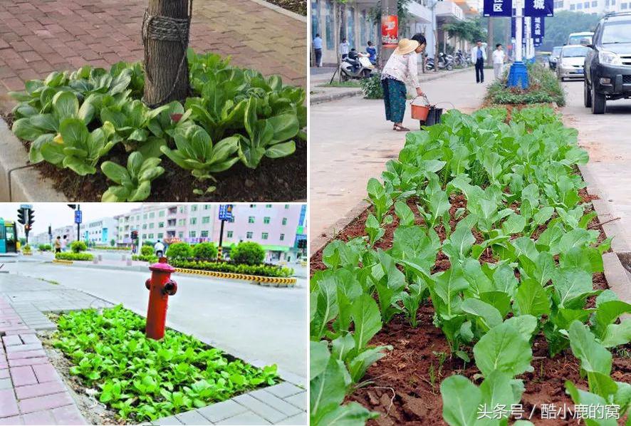 论种族天赋，在下是彻底输给了这波神操作了！