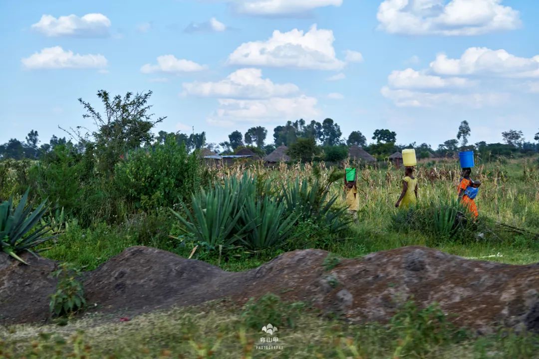 肯尼亚和坦桑尼亚哪个值得去,坦桑尼亚刚刚好之行