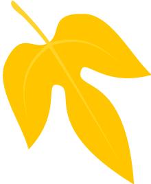 小学体育见习日志,学前教育见习日志