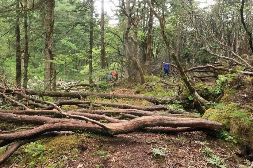 够用自行车推荐,既可以通勤又可以骑行的背包