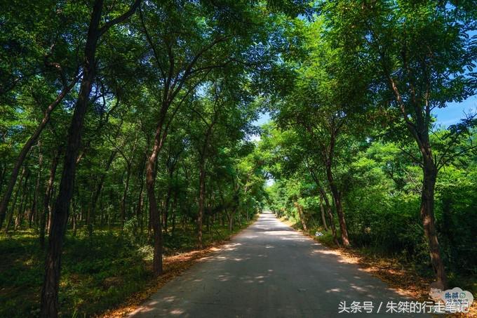 鍐榫欏彛鏃呮父鏀荤暐,鑳朵笢榫欏彛鏃呮父鏀荤暐