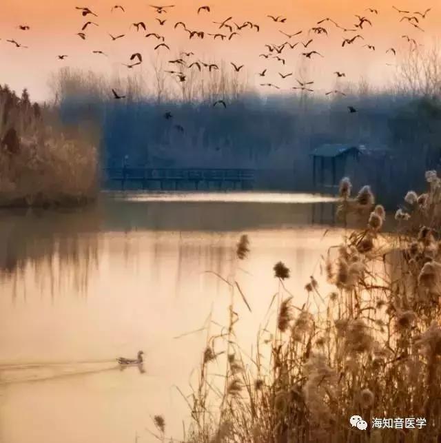 醉美中国——江苏