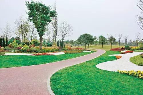 何须去远方看风景,双流绝美绿道