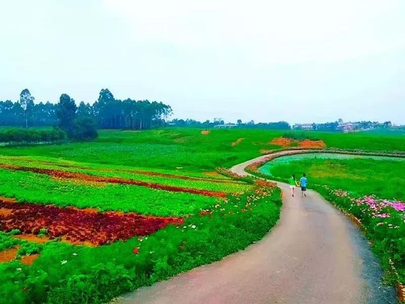 何须去远方看风景,双流绝美绿道