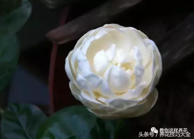 入睡困难也容易醒吃什么助眠药,入睡困难惊醒吃什么助睡眠的药好