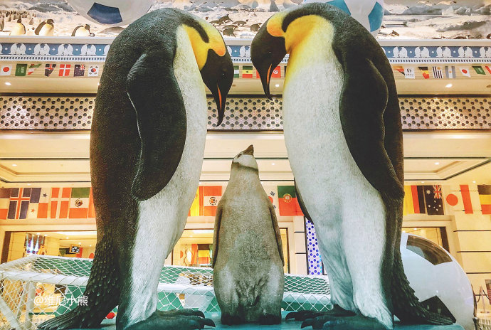 暑假珠海长隆最全游玩攻略,珠海长隆海洋王国暑假门票多少钱