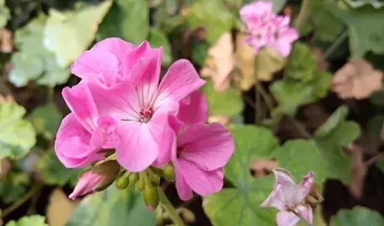 国美u9手机卡槽,国美u9