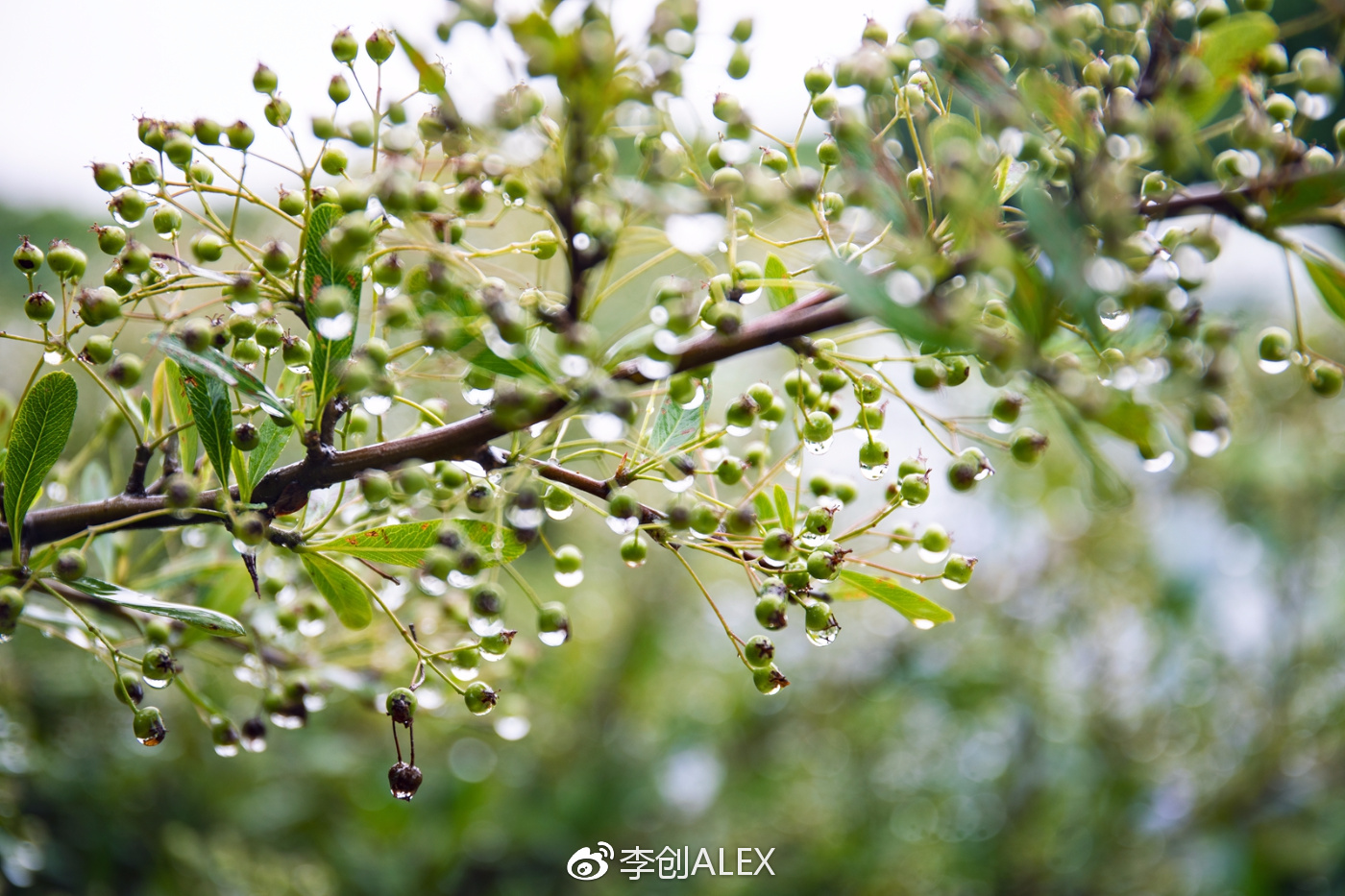 没坐过飞机韩国济州岛旅游攻略,韩国济州岛怎么去最省钱