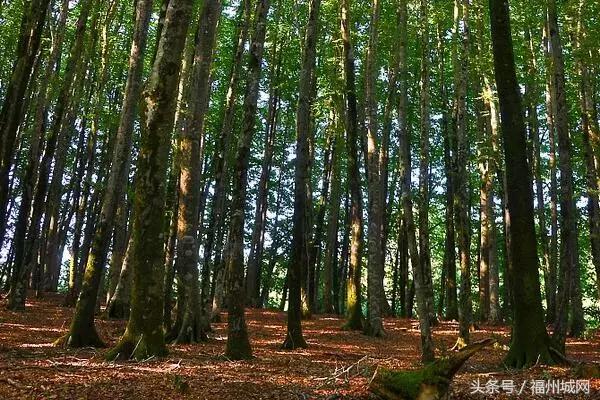 福州的变化有哪些,福州日新月异的变化