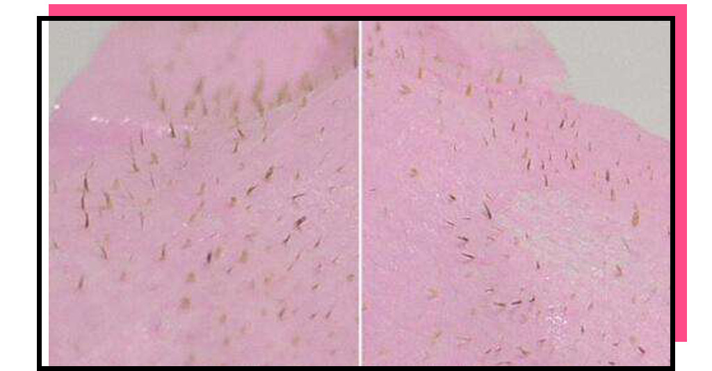 八种被吹上天的食物你买过吗,八种被吹上天的食物别再当冤大头