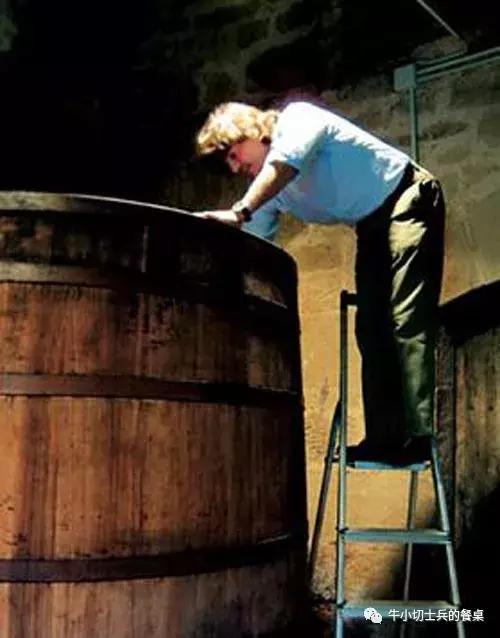 欧罗巴营养美食,欧罗巴美食探秘