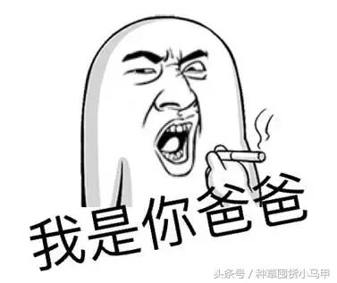 揭秘假代购的五个内幕,海外代购大牌化妆品靠谱吗