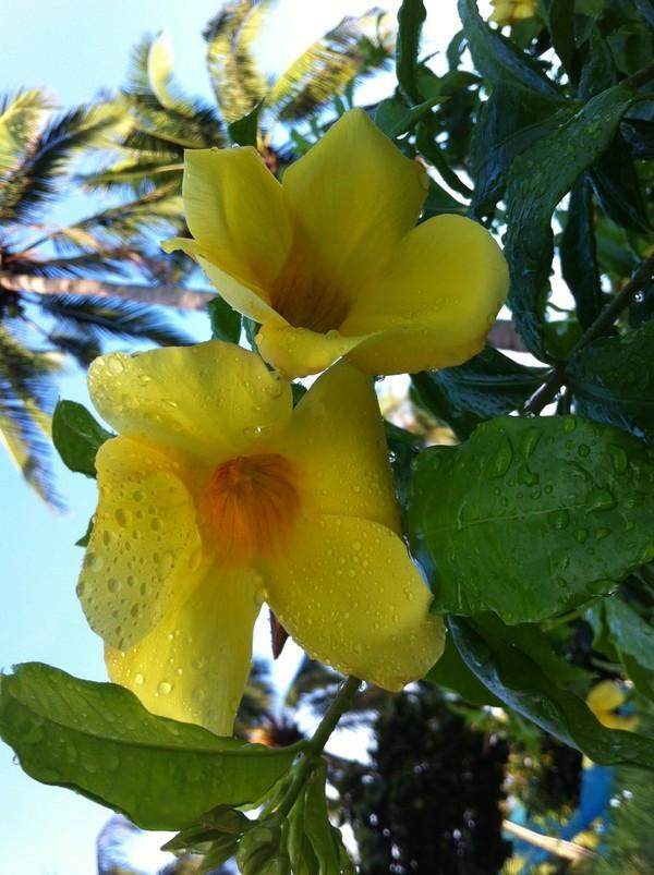 三亚三日游带孩子攻略,三姐妹游三亚