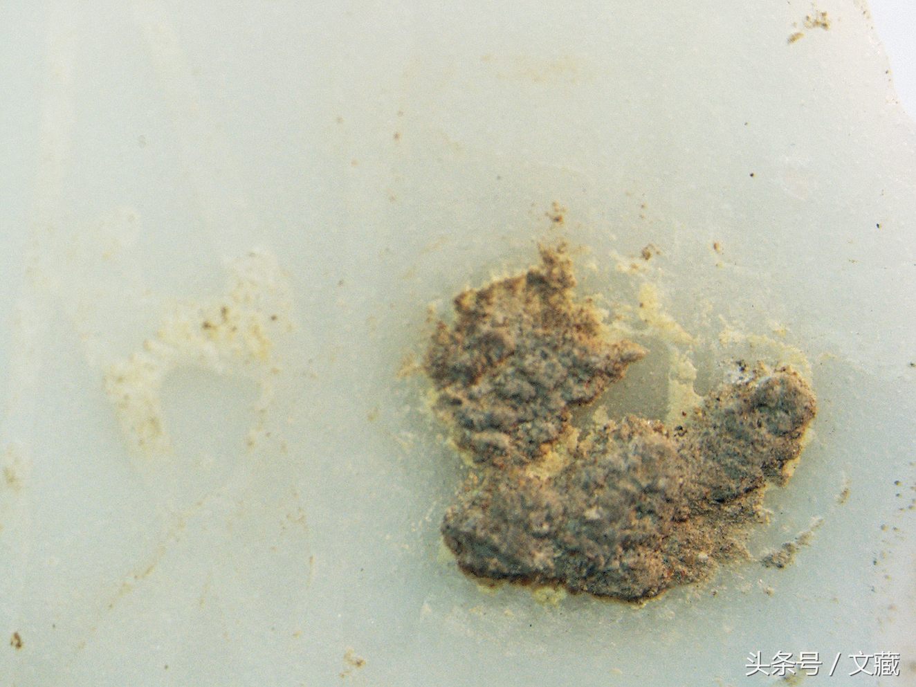 瓷胎画珐琅彩图案上有网格纹,清宫珐琅彩精美瓷盘图片欣赏