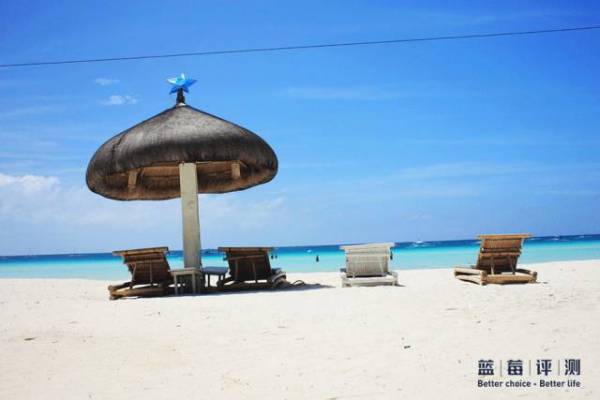 蓝莓评测美国蓝莓,蓝莓评测