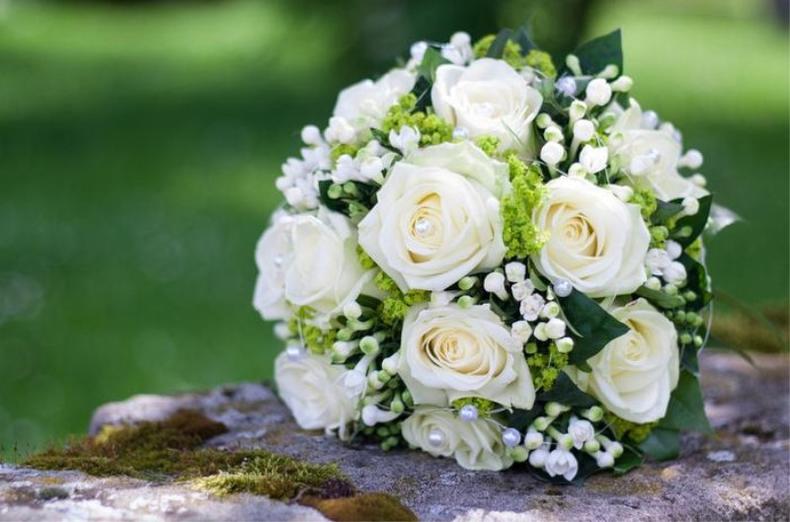 七夕节十一枝玫瑰花语是什么,七夕节玫瑰花图片花语