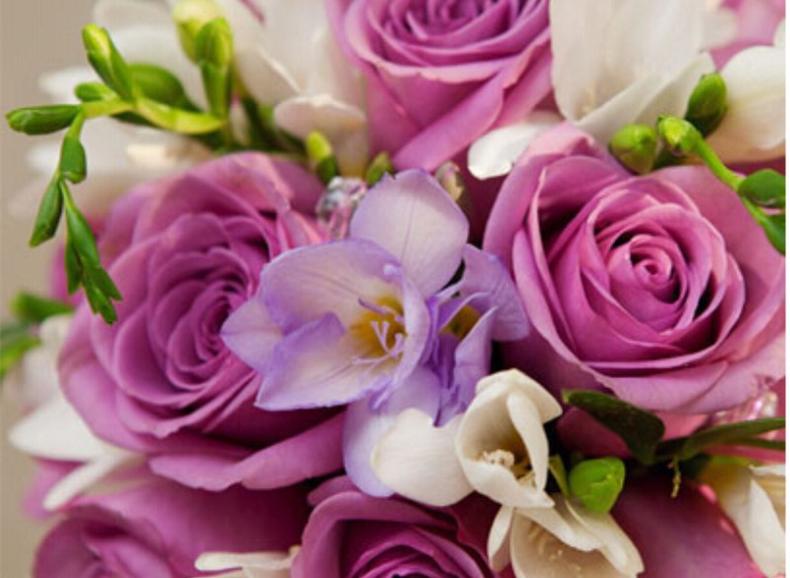 七夕节十一枝玫瑰花语是什么,七夕节玫瑰花图片花语