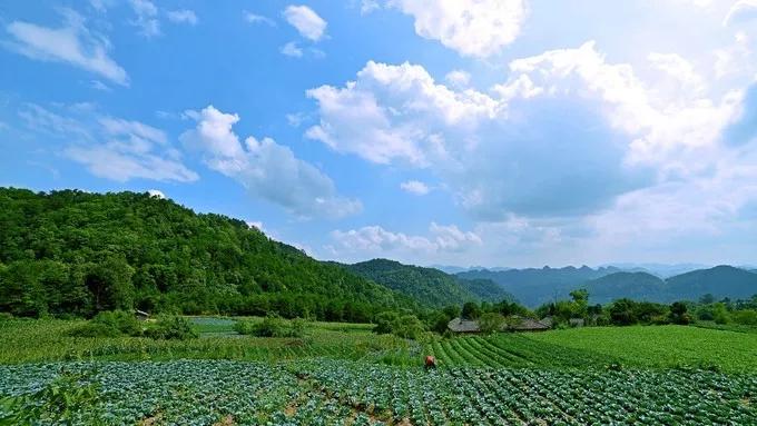 哪座山被选入2020中国避暑名山,避暑胜地天然大空调