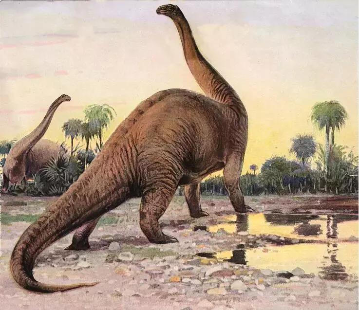 性格最凶猛的雷龙,雷龙凶猛的样子