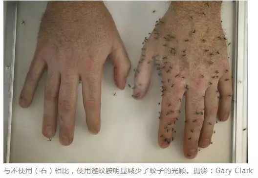 驱蚊水是农药有毒？驱蚊产品越贵越好？看看这篇评测你就明白了