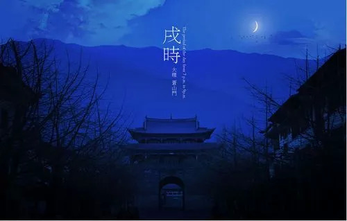 云南奇葩,云南奇葩视频